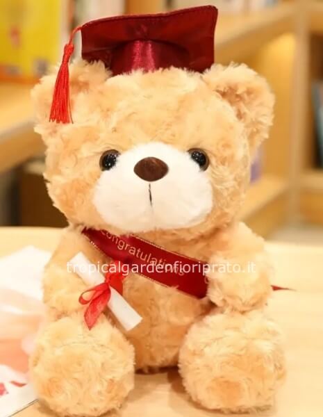 Peluche orso teddy per Laurea