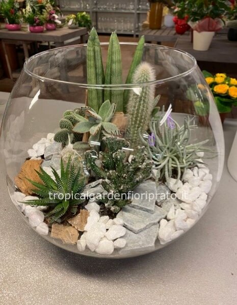 Composizione di piante grasse in vaso di vetro