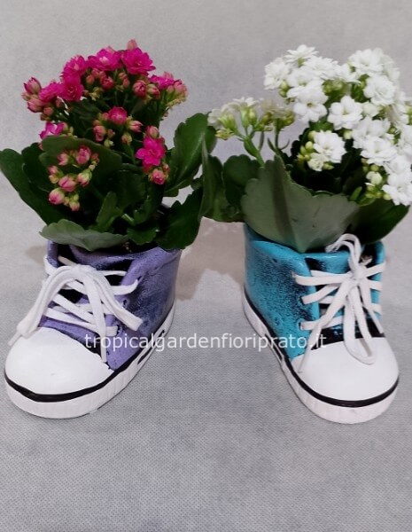 Coppia di scarponcini con piantina 