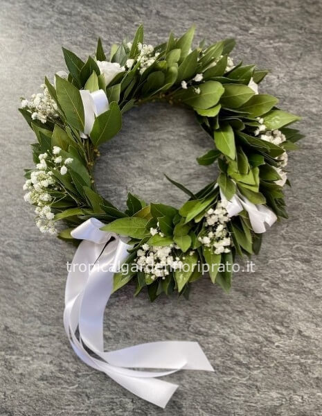 Corona alloro laurea con gypsophila