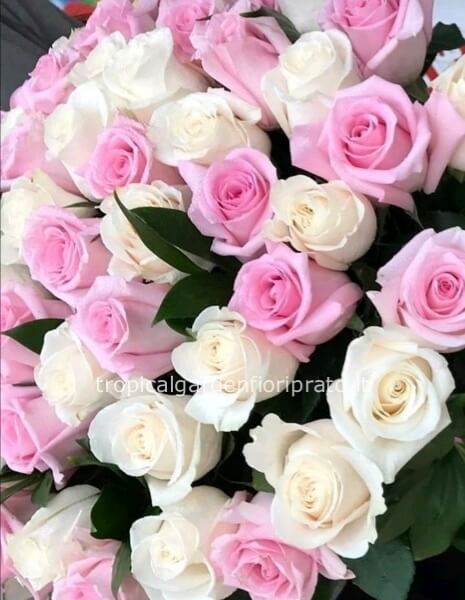 Bouquet essenziale di rose rosa e bianche