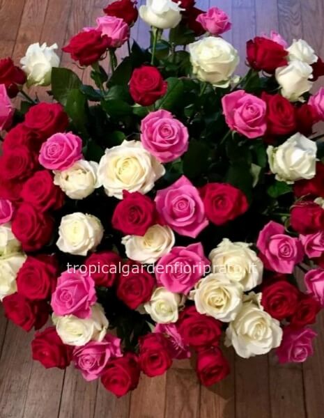 Rose a stelo lungo rosa, bianche e rosse