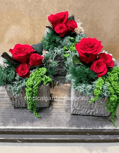 Tre rose rosse stabilizzate con vaso di ceramica