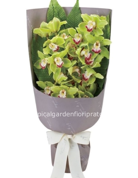 Ramo  essenziale cymbidium orchidea confezionato