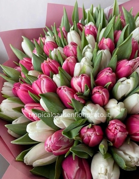 Bouquet di tulipani bianchi e rosa
