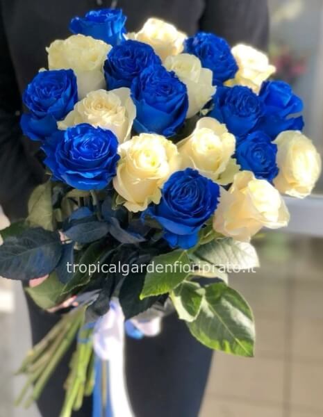 Rose blu e bianche a gambo lungo da comporre in mazzo per numero di steli