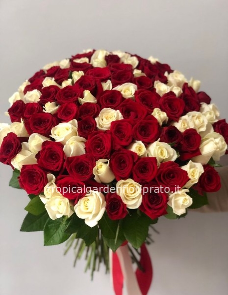 Rose bianche e rosse a stelo lungo