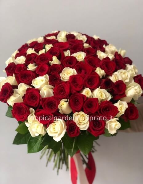 Rose bianche e rosse a stelo lungo