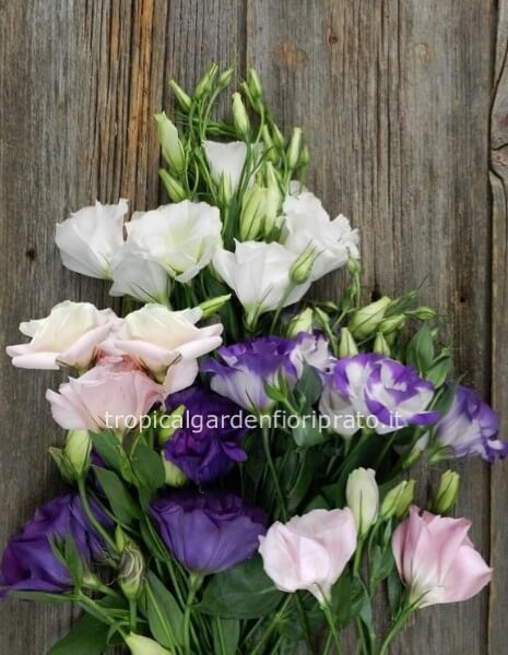 Bouquet essenziale di lisianthus