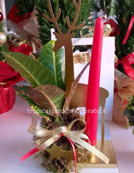 Portacandela Cervo con candela e piantina