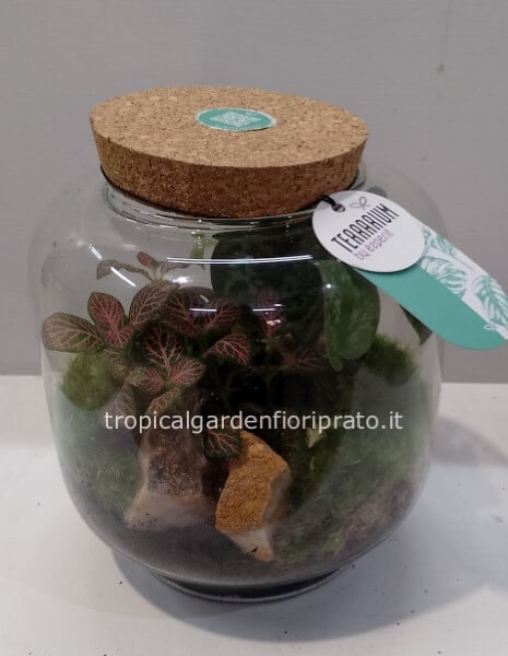 Terrarium