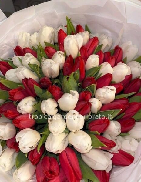 Bouquet San Valentino tulipani bianchi e rossi