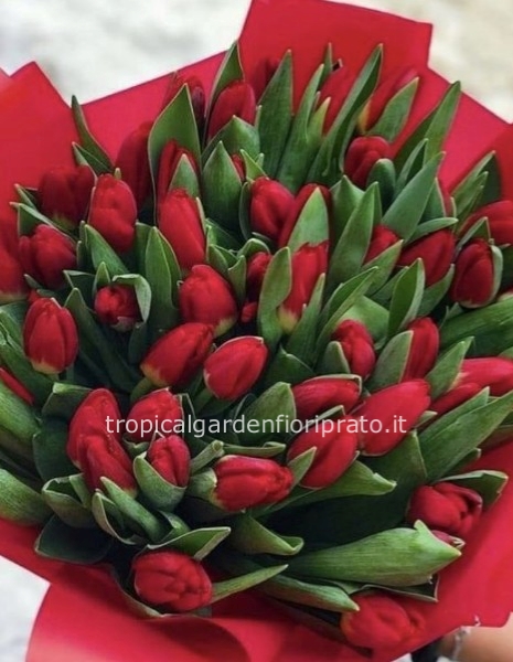 Bouquet San Valentino tulipani rossi