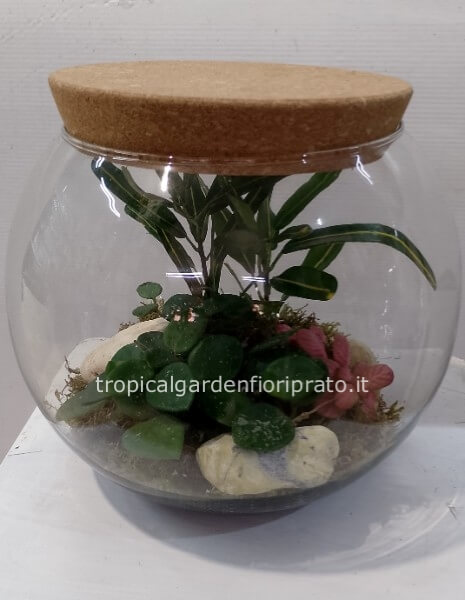 Terrarium