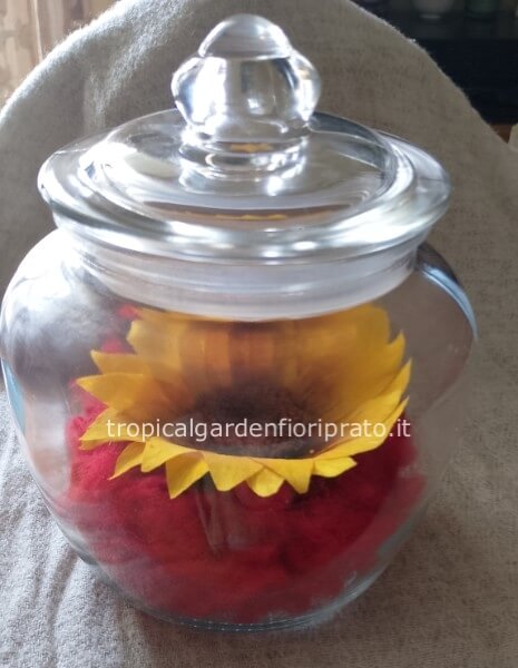 Girasole XXL stabilizzato con vaso di vetro coperto 