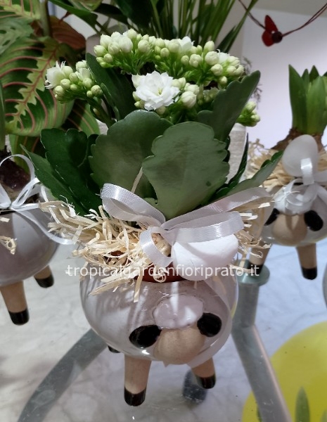Pecorella in ceramica con pianta e confezione pasquale