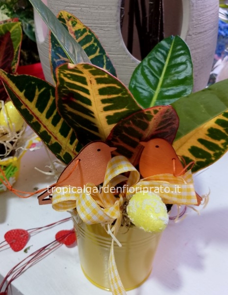 Pianta con porta vaso e confezione pasquale 