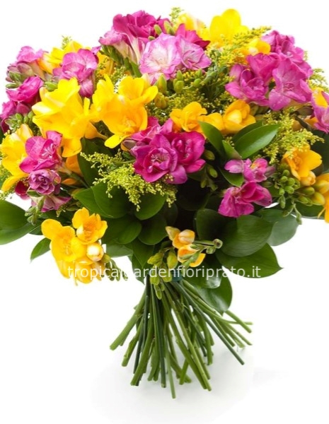 Bouquet essenziale di fresie