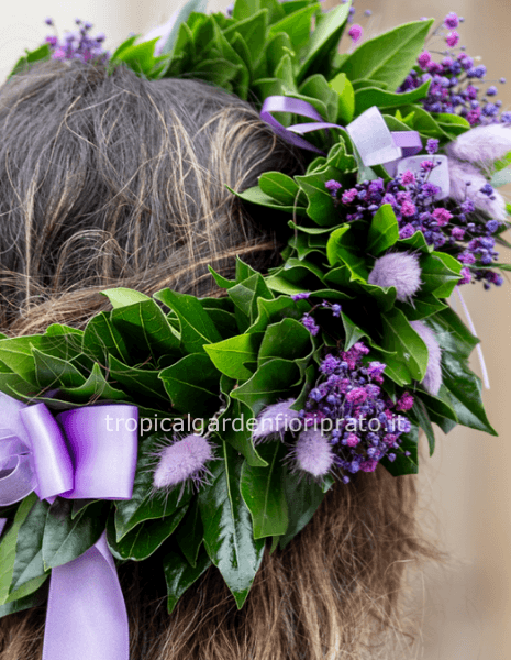 Corona alloro laurea viola
