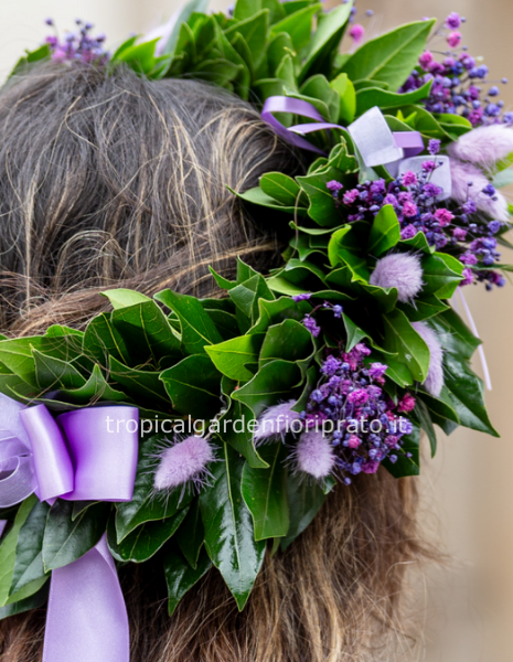 Corona alloro laurea viola