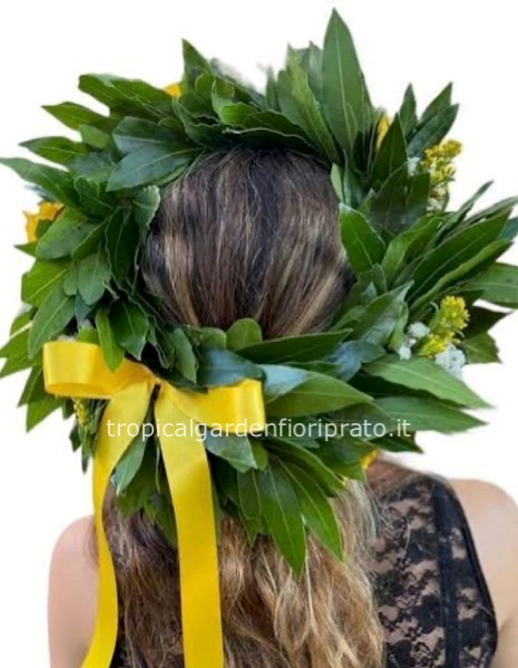 Coroncina alloro laurea con solidago e nastro