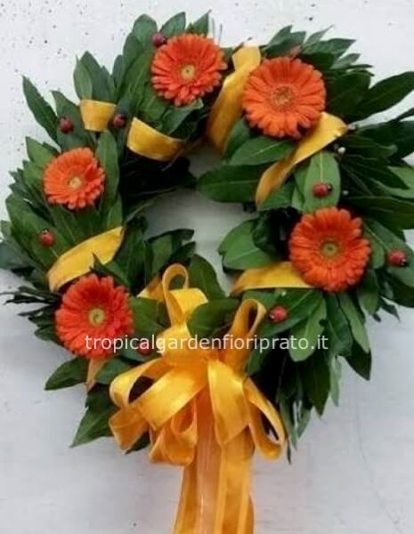 Coroncina laurea con germini