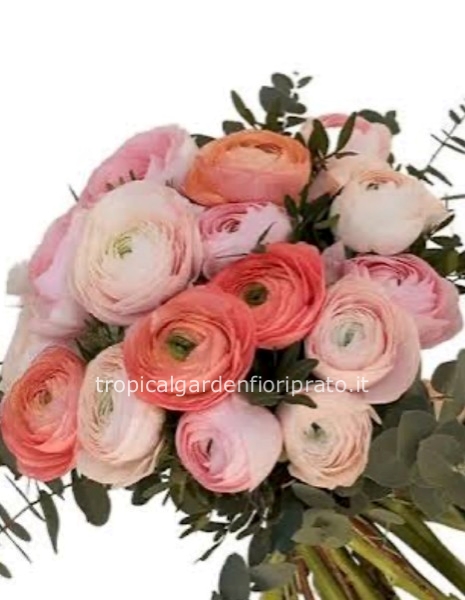Bouquet di ranuncoli essenziale