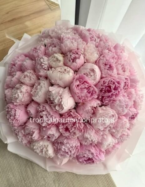 Bouquet di peonie compatto senza verde