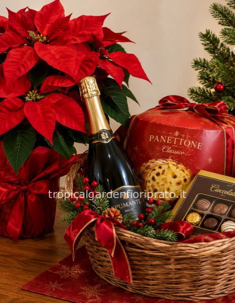 Set Natale con stella, cesto, spumante, panettone o pandoro, e cioccolatini